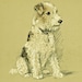 see more listings in the Dog PRINTS ~ Lucy Dawson section