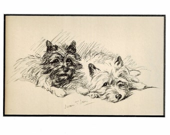 MATTED Dog Print, 1930s Terrier Lucy Dawson, 5x7 Mounted Print Puppy Print, black & white Wall Decor, Antique Decor, Terrier Print, B-5