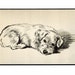 see more listings in the MATTED 5x7 Dawson Prints section