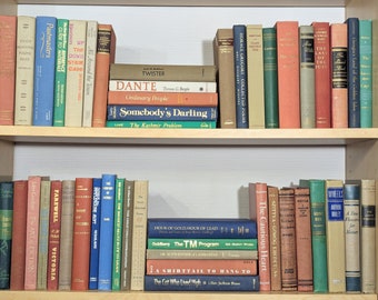 Decorative Books for Home Decor, Salmon Green Blue Beige Book Set, Bookshelf Decoration, Books by color, Staging Book Decor, Interior Design