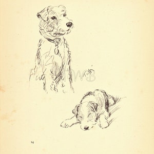 TERRIER Dog Print, Puppy Print, Wall Decor, Wall Art, Antique Decor, Interior Design, Lucy Dawson, 1930s Home Decor, Dog Decor, B-3 image 2