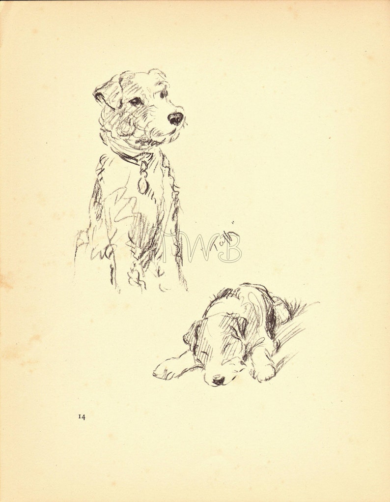 TERRIER Dog Print, Puppy Print, Wall Decor, Wall Art, Antique Decor, Interior Design, Lucy Dawson, 1930s Home Decor, Dog Decor, B-3 image 2