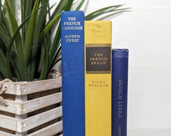 French Decorative Books, Old Book Decor, Blue Yellow Antique Book Set, Home Library Decoration, Bookshelf Decor, Book Collection