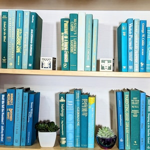 Coastal Books for Decor, Bookshelf Book Set, Decorative Books, Teal Green Home Decor, Bookshelf Decor, Staging Books, Stacked Books