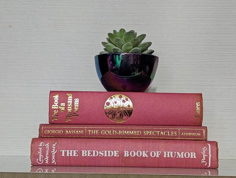 Pink Rose Bookshelf Decor, Vintage Decorative Books, Staging Book Set, Book Bundle, Instant Library Design Book Collection Stack Decor image 4