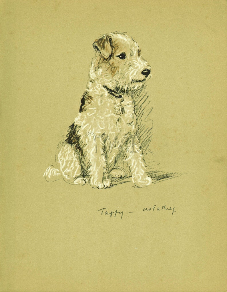 TERRIER Dog Print, Puppy Print, Wall Decor, Wall Art, Antique Decor, Interior Design, Lucy Dawson, 1930s Home Decor, Dog Decor, B-3 image 1