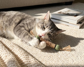 Silvervine Catnip Chew Stick | Natural Dental Health Cat Toy | Kitten Teething Treat