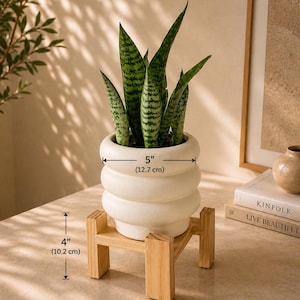 Spiral Collection Wooden Plant Stand | Minimalist Handmade Wood Riser for Plants, Candles & Home Decor