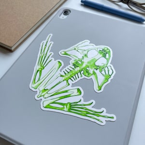 May include: A die-cut sticker featuring a vibrant green and white illustration of a frog skeleton. The skeletal structure shows the skull, spine, and elongated limb bones with detailed digits, rendered in a bright, semi-translucent lime green.