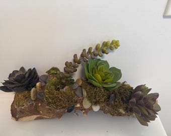 Preserved Moss and Succulent Sculpture, Upcycled Wood Decor