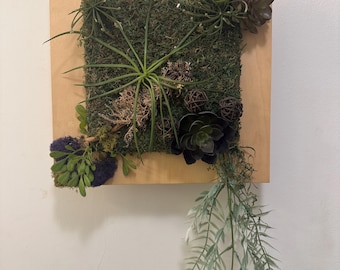 Preserved Moss Wall Decor: Upcycled Vertical Garden Art