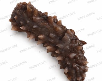 May include: A dark brown sea cucumber replica featuring a cylindrical, elongated body covered in numerous pointed, conical protrusions. The surface has a textured, bumpy appearance with a semi-translucent finish, capturing the organic form of the marine animal.