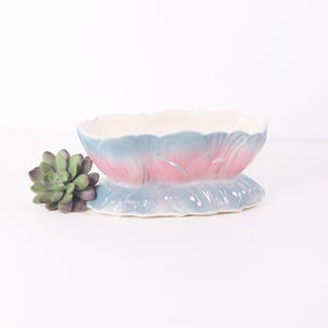 May include: An oval ceramic planter featuring a sculpted petal design with a gradient finish transitioning from soft pink at the center to light blue at the edges. The planter has a wide, flared base and a smooth, glossy surface texture throughout.
