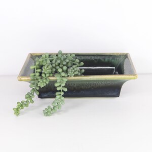 May include: A rectangular ceramic dish with a glossy dark green and black glaze featuring a light green rim. A trailing artificial succulent plant with small, rounded, light green leaves hangs over the front edge of the dish.