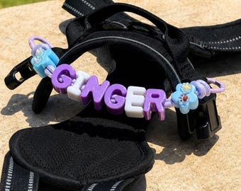 Personalized Pet ID Tag | Custom Collar Charm | Dog & Cat Accessory