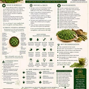Könnte beinhalten: Ein informatives Poster über Moringa, die Mineralienkönigin, mit Text und Bildern, die seine Vorteile, Geschichte und Verwendungsmöglichkeiten detailliert beschreiben. Enthält Rezepte und Empfehlungen für den Verzehr. Das Poster ist grün und weiß.