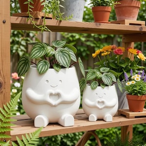 Puede incluir: Dos macetas de cerámica blanca con forma de figuras sonrientes, cada una sosteniendo un corazón con sus brazos. Las macetas están llenas de plantas a rayas verdes y blancas. Las macetas están en un estante de madera.