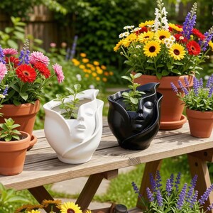 Peut inclure: Un banc en bois présente une collection de plantes en pot et de jardinières décoratives en forme de visage. Les jardinières sont blanches et noires, avec un design de visage sculpté. Des fleurs colorées dans des pots en terre cuite ajoutent de la vitalité à la scène.