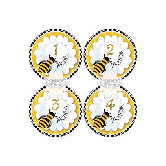 Il_570xn