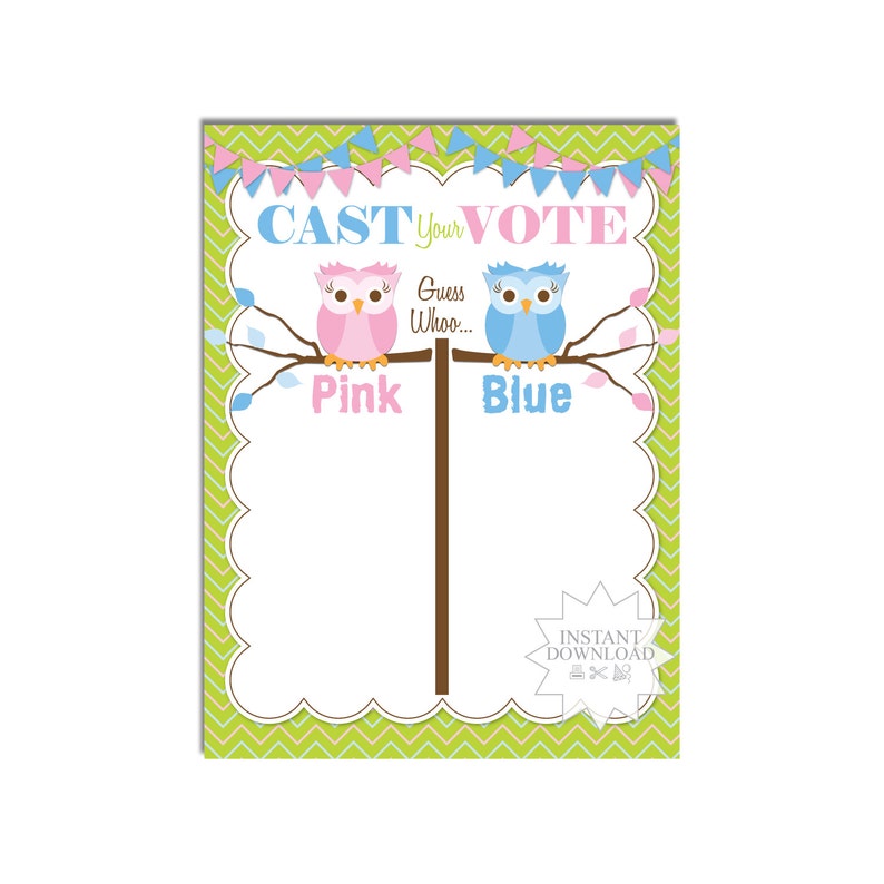 Owl Gender Reveal Voting Poster-Blue /& Pink Voting Poster-Cast Your Vote Poster-INSTANT DOWNLOAD