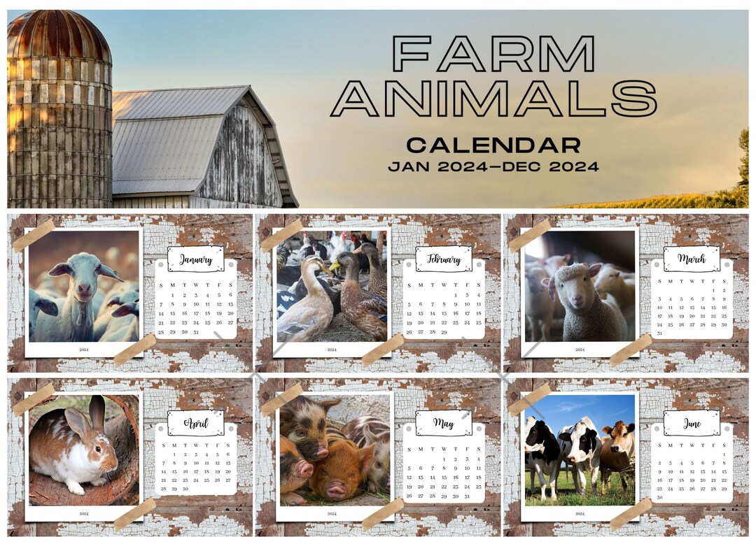 2024 Farm Animal Calendarmonthly Calendarinstant DOWNLOAD Etsy