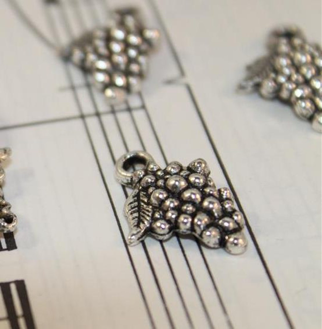 10 Pcs Antique Silver Grape Charms Wine Charms 18mm SC242 - Etsy