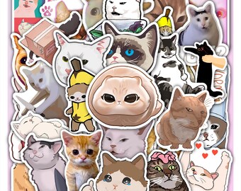 TikTok Meme Cats Sticker Sheet – Funny Viral Cat Vinyl Decals 40 designs (4 Full Sheets)