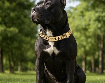 Personalized Gold Cuban Link Dog Collar, Engraved Stainless Steel Chain for Large Breeds