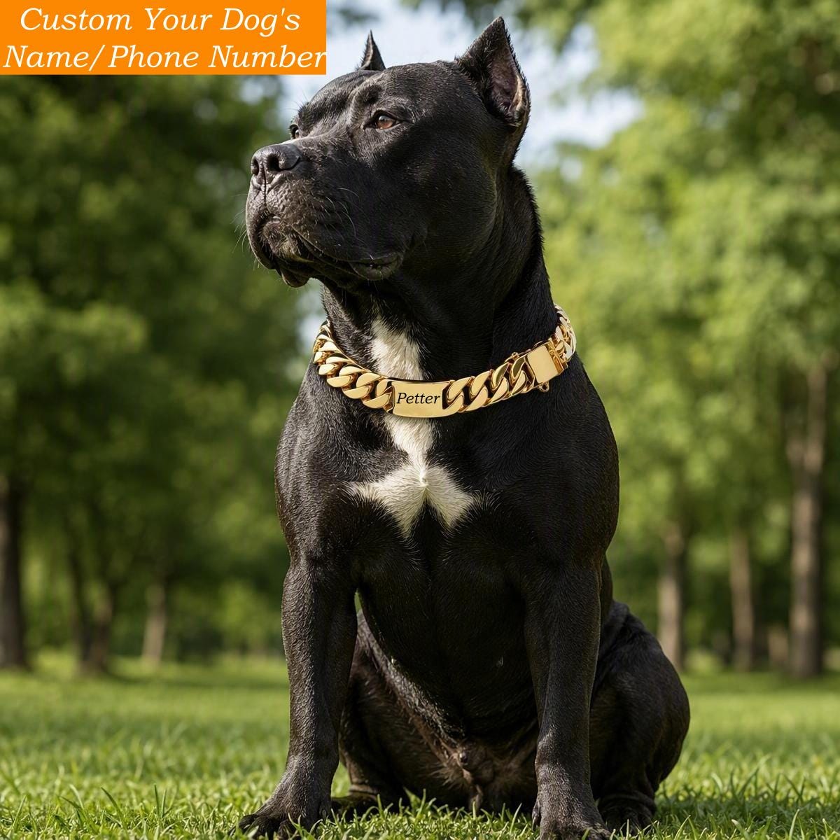Pitbull Cuban Link Collar - Etsy