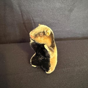 Vintage Steiff Small Diggy Badger
