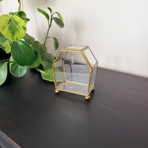 May include: A pentagonal glass display box featuring a thin gold-toned metal frame. The container has clear glass panels on all sides and a hinged top lid. It is supported by four small, rounded gold-toned feet at the base of the structure.