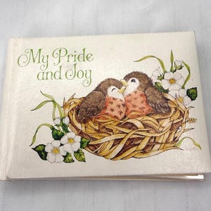 1980 Vintage Current, Inc. My Pride & Joy Bird Photo Album 5157