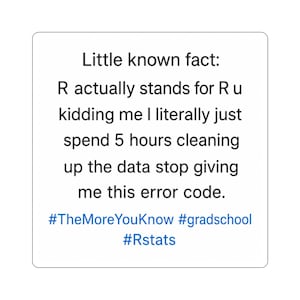May include: A white square with black text that reads "Little known fact: R actually stands for R u kidding me I literally just spend 5 hours cleaning up the data stop giving me this error code." with the hashtags #TheMoreYouKnow #gradschool #Rstats.