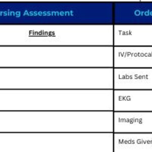 May include: A blue and white table with the text "Primary Nursing Assessment" and "Orders / Tasks". The table includes columns for assessment, findings, tasks, and completion status. The table is designed for medical documentation.