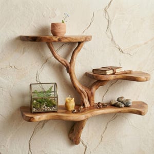 May include: A wall-mounted wooden shelf shaped like a tree branch with three distinct levels. The natural light brown wood features organic curves and textures. It holds a small terracotta pot, a glass terrarium, a candle, and a leather-bound book.