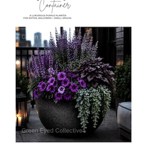 May include: A large, round, dark grey textured planter filled with a variety of plants, including vibrant purple petunias, tall purple salvia spikes, dark purple foliage, and trailing light green vines. Text reads Moody Purple Container.