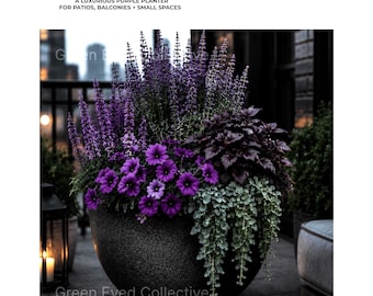 Progetto per giardino in vaso color viola intenso / Design per balcone e patio (Guida in PDF)