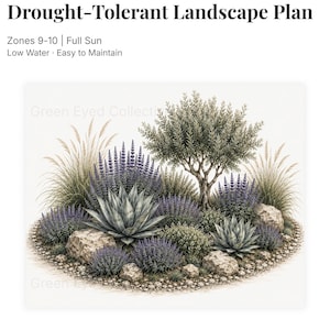 May include: A 3-page digital guide titled Drought-Tolerant Landscape Plan for Zones 9-10. The document features an illustration of a garden with an olive tree, agave plants, purple lavender, ornamental grasses, and rocks on a gravel path.