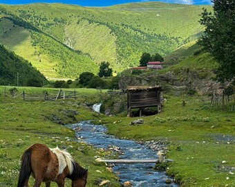Mountain Landscape Printable Wall Art, River & Horse Nature Print, Rustic Cabin Decor, Green Valley Poster, Instant Download, Digital Wall A