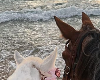 Romantic Beach Horse Wall Art Printable | Coastal Horse Photography | Ocean Sunset Digital Download | Equestrian Decor | PrInstant Download