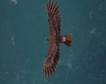 Majestic Eagle Over Ocean Wall Art | Printable Bird Photography | Coastal Nature Print | Digital Download | Modern Wildlife Poster | Blue Se