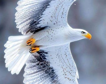 White Eagle Digital Download | Majestic Bird Wall Art Printable | Bald Eagle Poster | Wildlife Art Print | Nature Decor | High ResoluJPG PNG