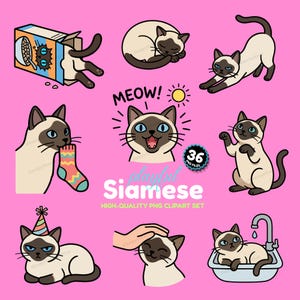 Lekfull siamesisk katt Clipart PNG-paket, 36 Meezer Kitten-grafik (digital nedladdning)