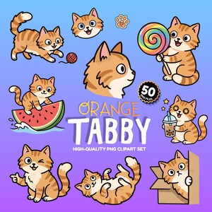 Orange tabbykatt Clipart PNG-paket, 50 kawaii ingefärakattklistermärken, illustrationer (digital nedladdning)