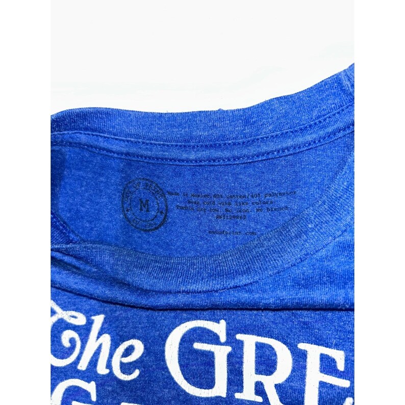 The Great Gatsby F Scott Fitzgerald Graphic T-Shirt Blue Heather Mens Medium image 3