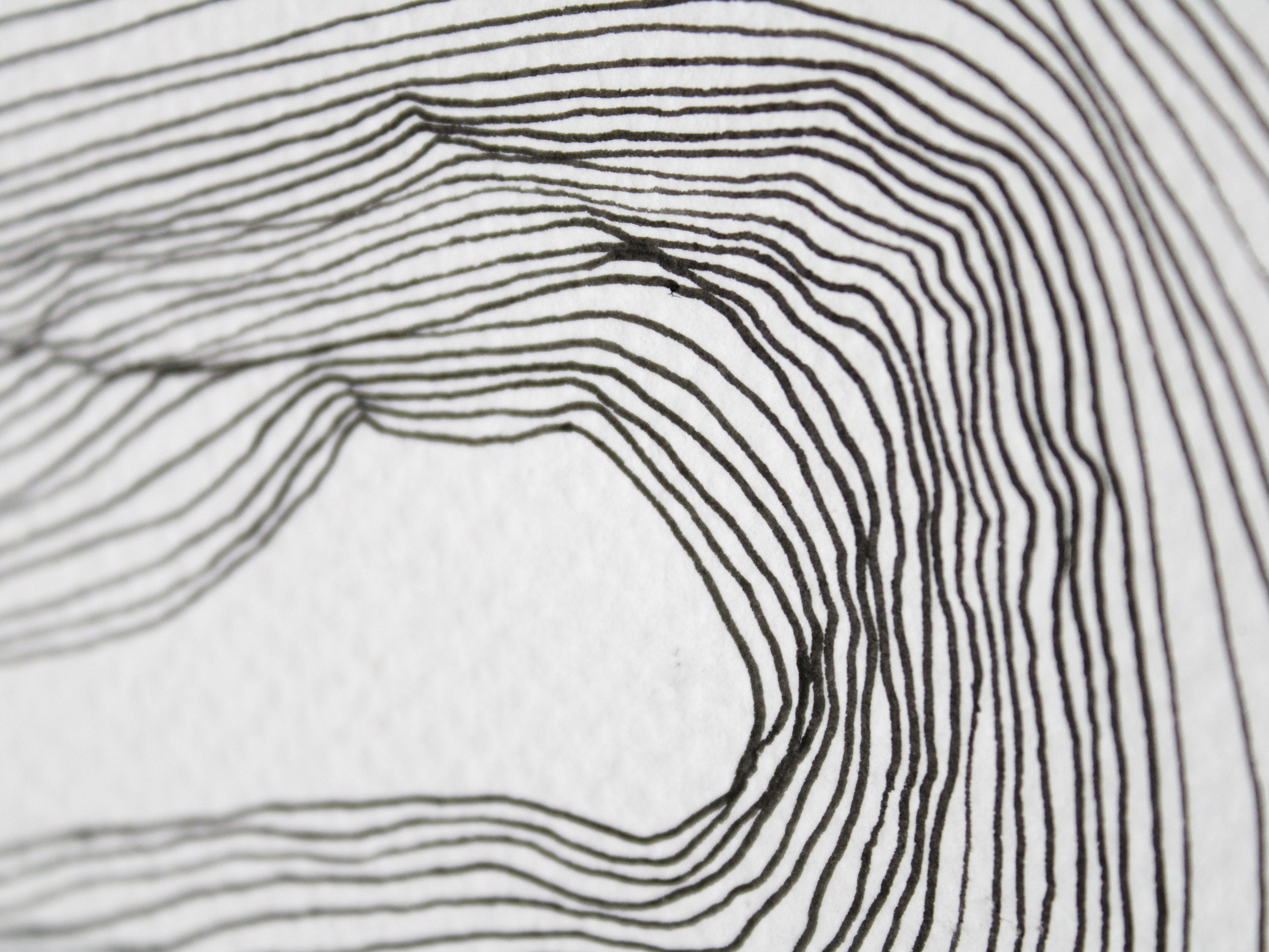 Flow of Lines Abstract Ink Original Art on Paper 35 X 25 Cm - Etsy