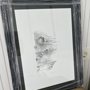 Puede incluir: Una obra de arte enmarcada en blanco y negro con un dibujo a lápiz detallado de corteza de árbol. La obra de arte está en un marco negro y envuelta en plástico transparente. El dibujo muestra la textura y los nudos de la madera.
