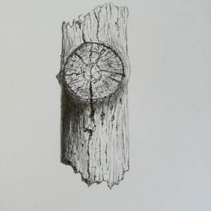May include: A detailed pencil drawing of a section of weathered wood. The wood features a prominent knot with concentric rings, and the surface is textured with vertical lines and cracks. The artwork is rendered in shades of gray.