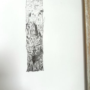 Peut inclure: Dessin au crayon d'un tronc de bouleau en noir et blanc. Le dessin met en valeur la texture de l'écorce, avec des zones rugueuses et des lignes verticales. L'œuvre est encadrée dans un cadre en bois clair.