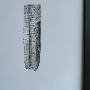 Puede incluir: Un dibujo a lápiz enmarcado de un trozo de madera desgastada. La madera está representada en tonos grises y negros, con texturas y grietas detalladas. La obra de arte está sobre un fondo blanco dentro de un marco negro.